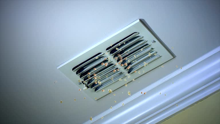 Best Home Air Vent Cleaning  in Brushy Creek, TX
