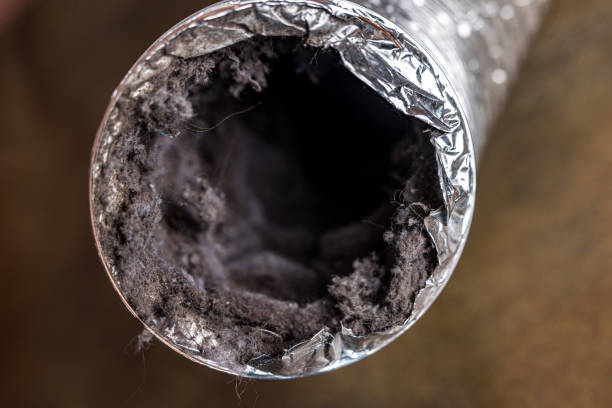 Best Air Duct Cleaning Near Me  in Brushy Creek, TX